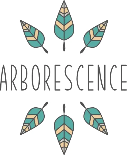 François Vermel, Conteur et formateur au Dahu téméraire. François Vermel, Conteur et formateur en Haute-Garonne